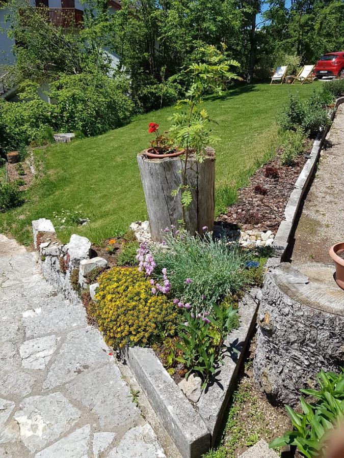 B&B I Faggi Lavarone Bagian luar foto